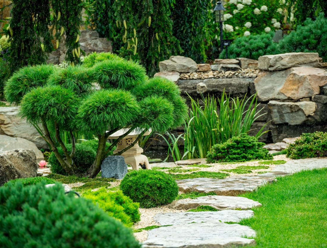 creación de jardines en Negreira