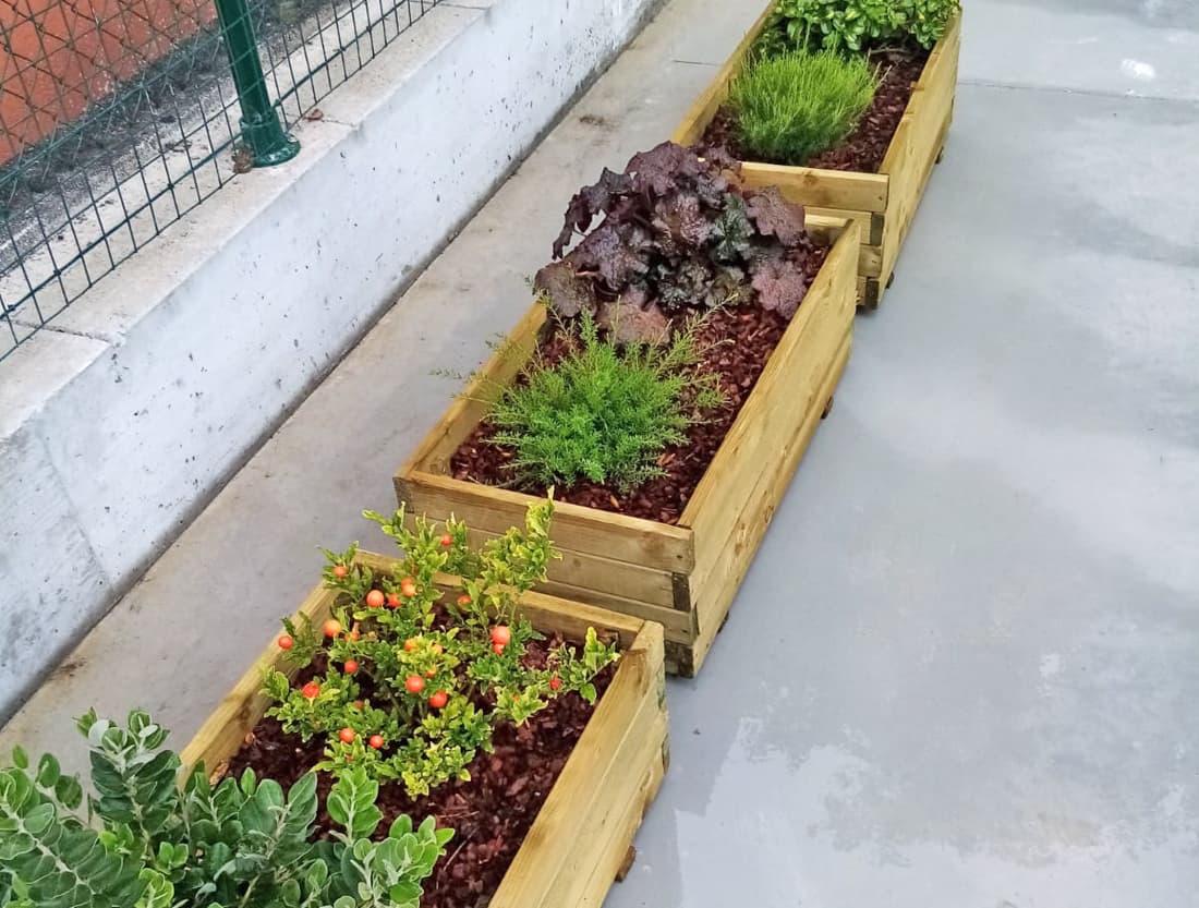 diseñador de jardines en Negreira