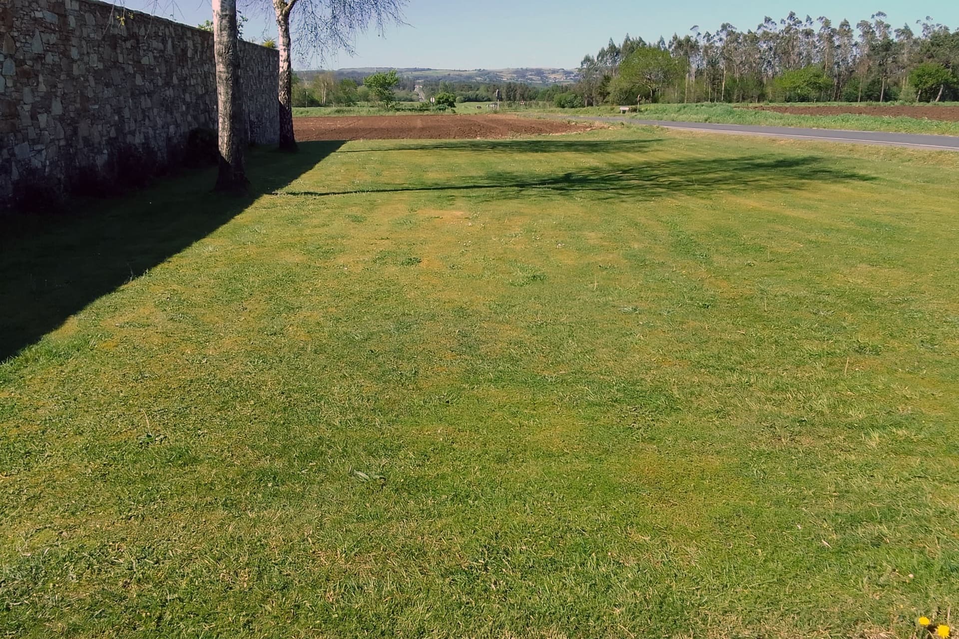 cuidados césped en Negreira